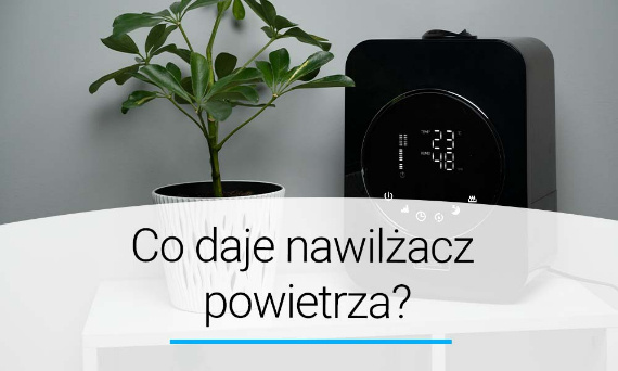 Co daje nawilżacz powietrza? Poradnik | Doradca YOER