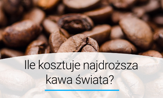 Ile kosztuje najdroższa kawa świata? Poradnik | Doradca YOER