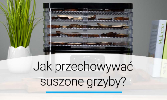 Jak przechowywać suszone grzyby? Poradnik | Doradca YOER