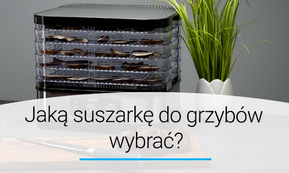 Jaką suszarkę do grzybów wybrać? Poradnik | Doradca YOER