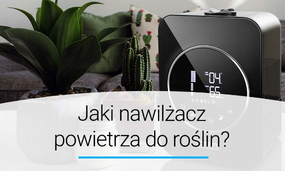 Jaki nawilżacz powietrza do roślin? Poradnik | Doradca YOER